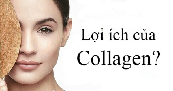 Collagen Là Gì? Công Dụng Của Collagen Đối Với Sức Khỏe & Sắc Đẹp