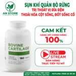 Sụn Khí Quản Bò Rừng Bovine Cartilage Của Mỹ, 100% Chính Hãng, Chuẩn Nội Địa Mỹ, Giá Tốt