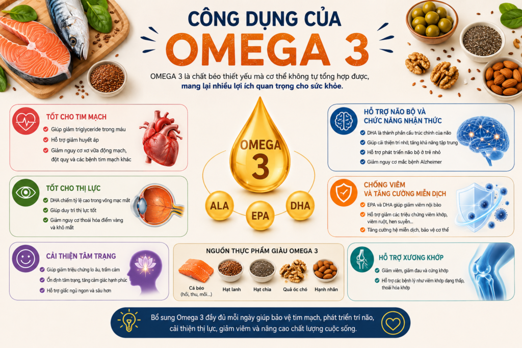 Vai Trò Của Omega 3 Đối Với Sức Khỏe Con Người