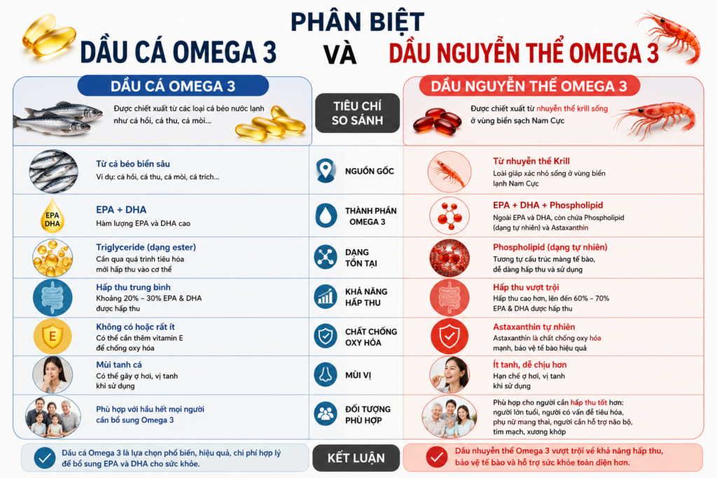 So Sánh Dầu Cá Omega 3 Và Dầu Nhuyễn Thể Omega 3
