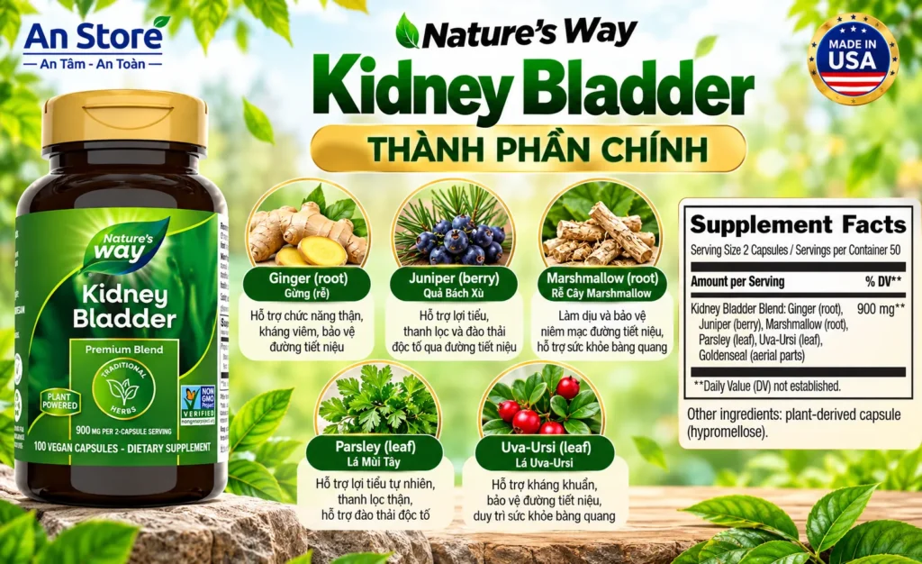 Thành Phần Thuốc Bổ Thận Kidney Bladder 100 Viên Của Mỹ
