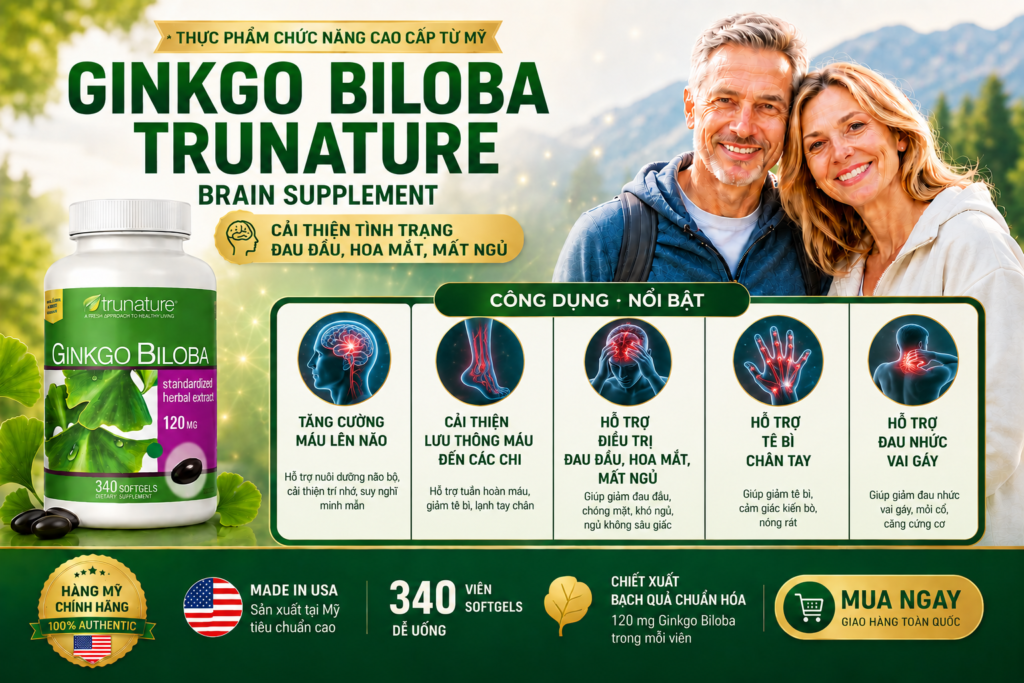Công Dụng Tăng Cường Máu Lên Não Và Hoạt Huyết Dưỡng Não Của Ginkgo Biloba