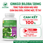 Thuốc Bổ Não Ginkgo Biloba 120mg 340 Viên Của Mỹ, 100% Chính Hãng, Giá Tốt