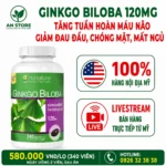 Thuốc Bổ Não Ginkgo Biloba 120mg Của Mỹ, 100% Chính Hãng, Giá Tốt