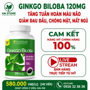 Thuốc Bổ Não Ginkgo Biloba 120mg Của Mỹ