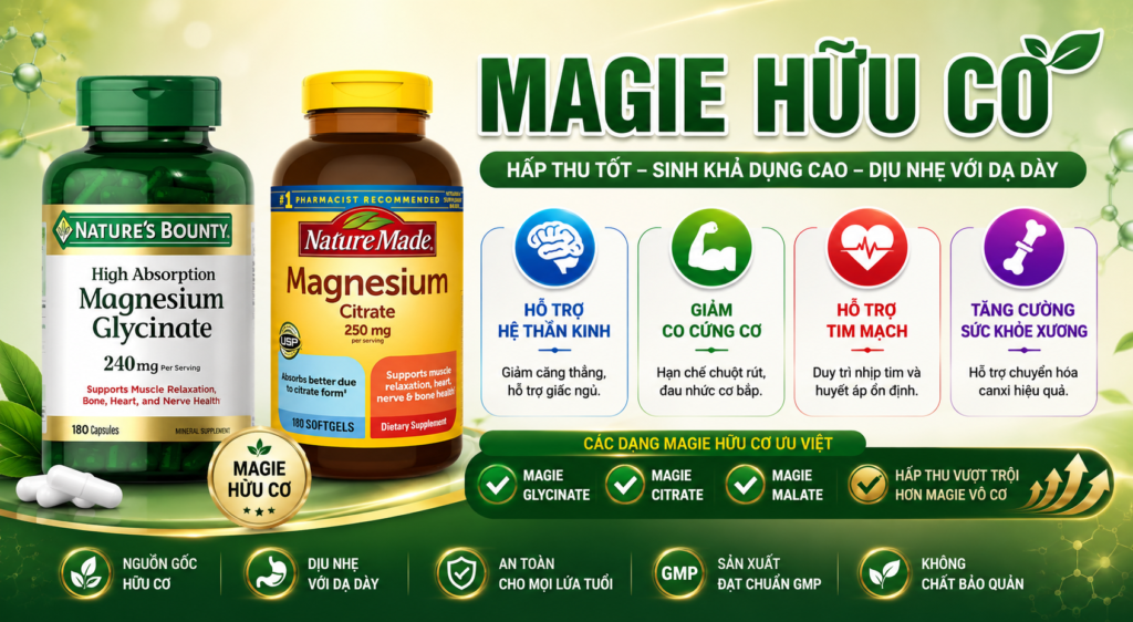 Các Loại Magie Hữu Cơ Tốt Nhất Giúp Thư Giản Thần Kinh Và Hỗ Trợ Tim Mạch