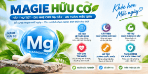 Magie Hữu Cơ: Giải Pháp Thư Giản Thần Kinh Và Cải Thiện Chất Lượng Giấc Ngủ